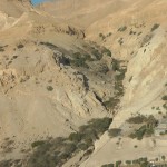 עין גדי השמורה