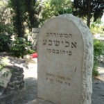 אלישבע המשוררת הלא יהודיה הנערצת על רחל וחברתה הטובה